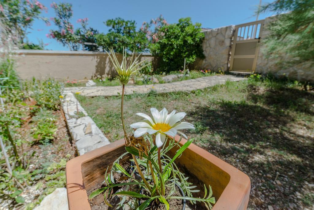 Paula Apartments Vir Dış mekan fotoğraf